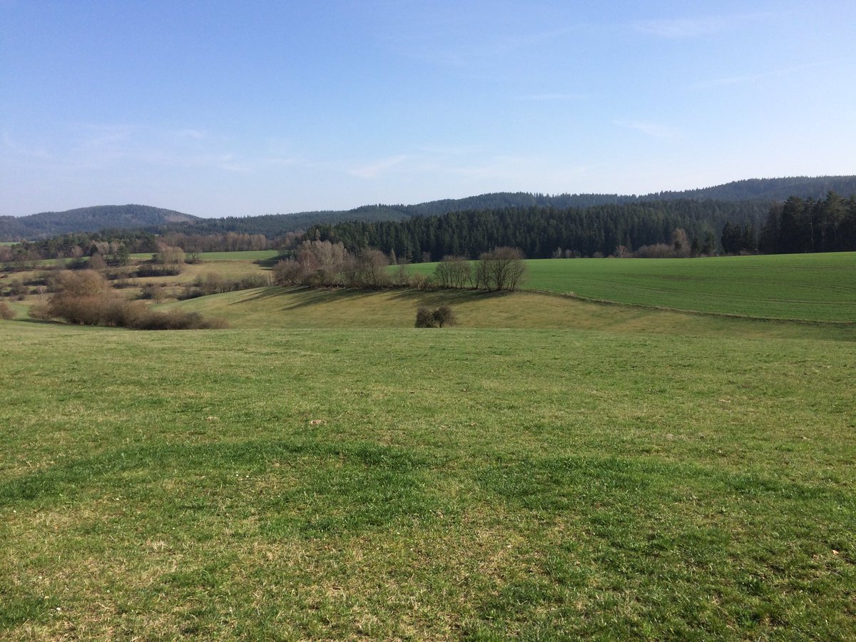 Reinhard Fuchs tweet media