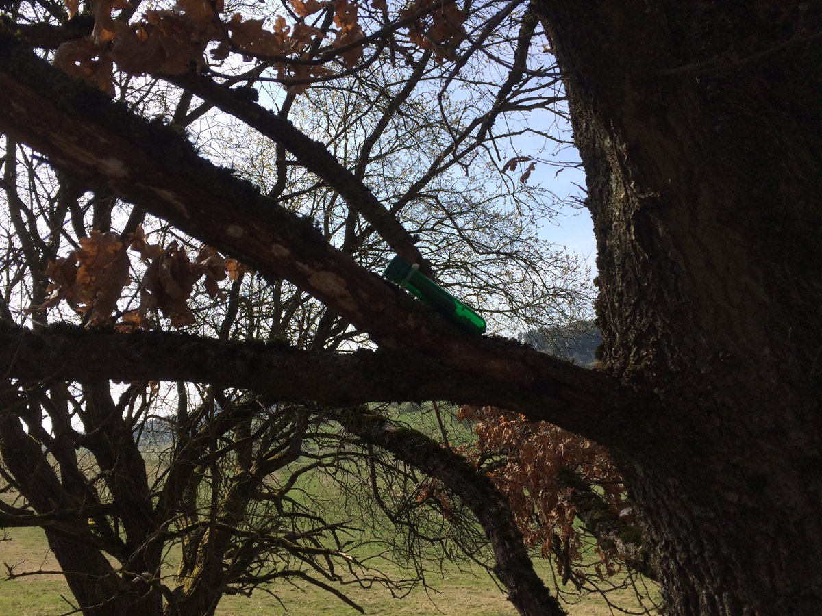 Reinhard Fuchs tweet media