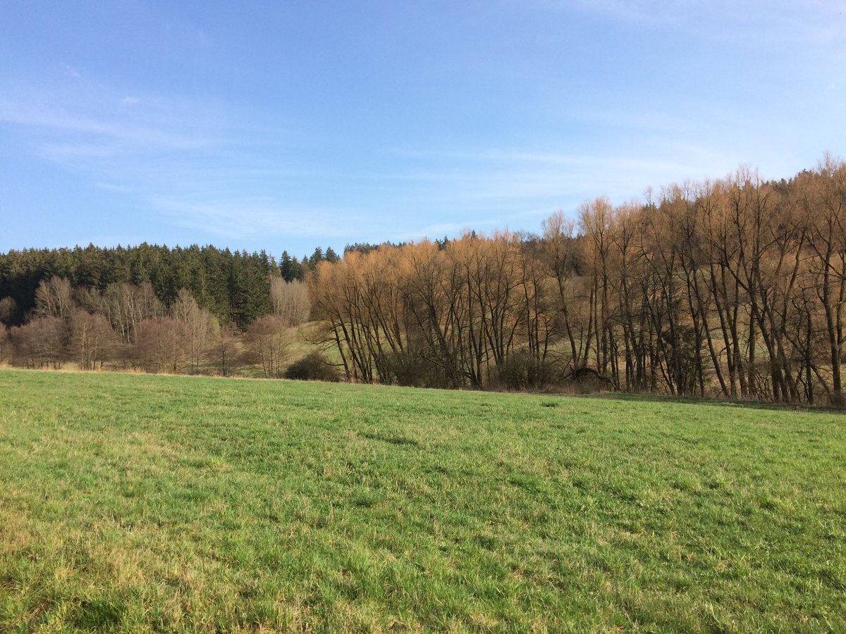 Reinhard Fuchs tweet media