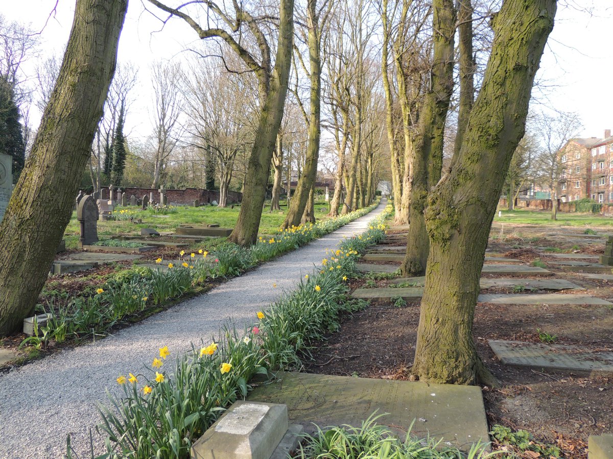 FriendsofFOPCC's tweet image. Fantastic work being done by FOPCC.  More stone has been put down on the cross walk path, the daffodils &amp;amp; tulips are still blooming.  Come along and join us.