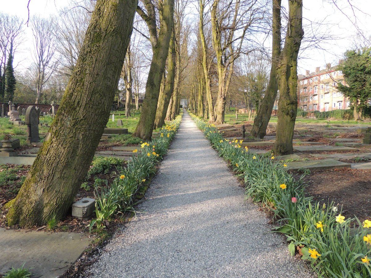 FriendsofFOPCC's tweet image. Fantastic work being done by FOPCC.  More stone has been put down on the cross walk path, the daffodils &amp;amp; tulips are still blooming.  Come along and join us.