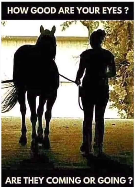 AYCOMEDIAN's tweet image. This pic causing problem already lol  ok Are they going or coming. 
LIKE for GOING. RETWEET for COMING