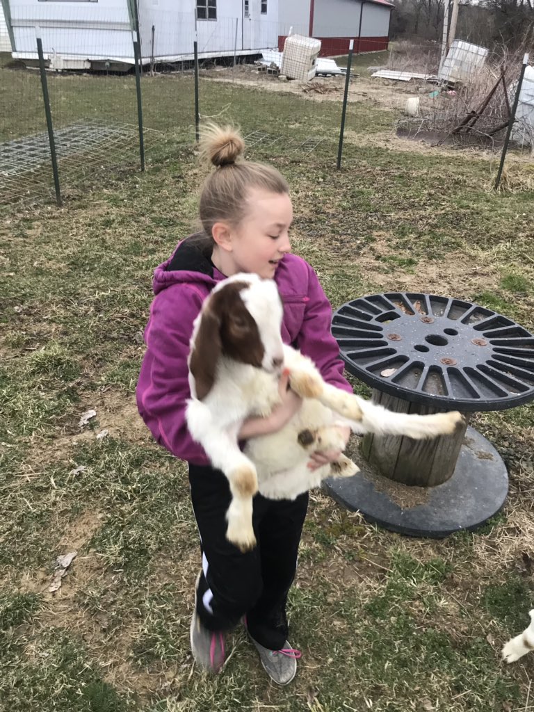 mimi_chef's tweet photo. My cousin @AbigailKinney14’s goat https://t.co/1JhJTd8mcj