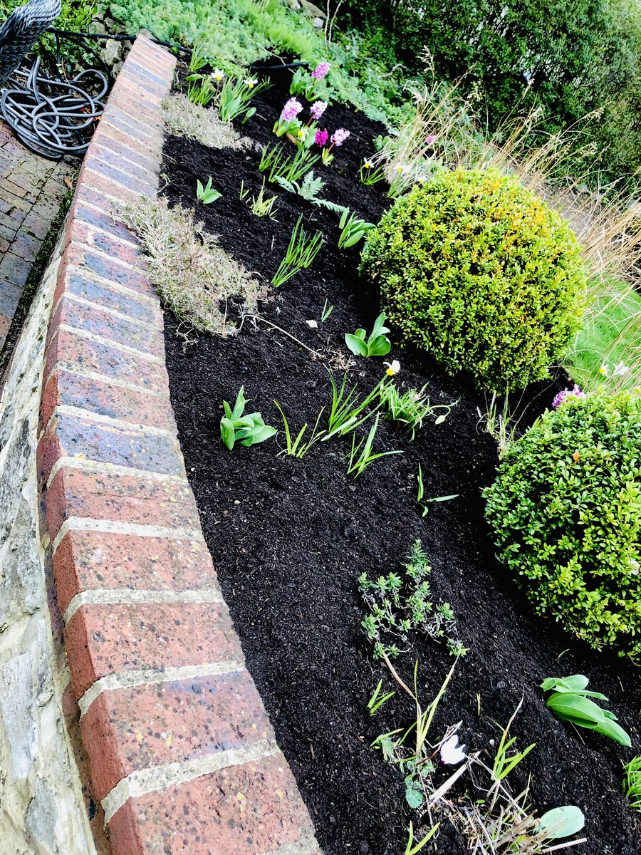 AndiWisk's tweet image. Had a good day #mulching on Wednesday.
Who needs the gym eh? 💪🏼💪🏼
#springmulch