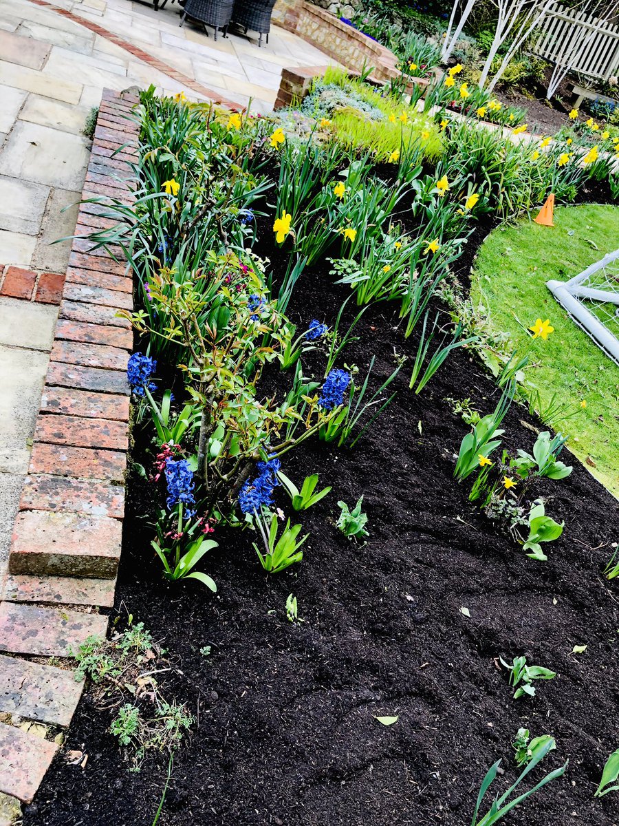 AndiWisk's tweet image. Had a good day #mulching on Wednesday.
Who needs the gym eh? 💪🏼💪🏼
#springmulch