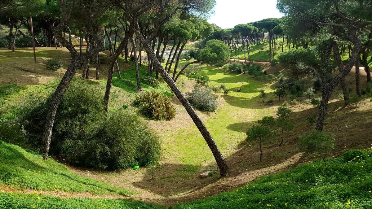 Un simple gesto puede significar mucho. Hoy participamos en la Hora del Planeta y apagamos 💡 de 20.30 a 21.30 

#ApagaPorLaNaturaleza