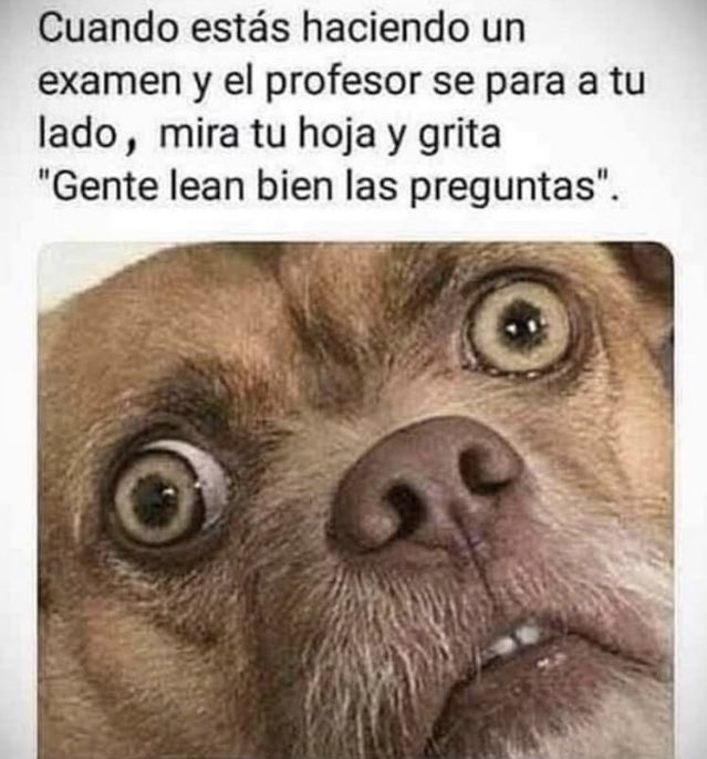 Recojannnnnnnn 😂