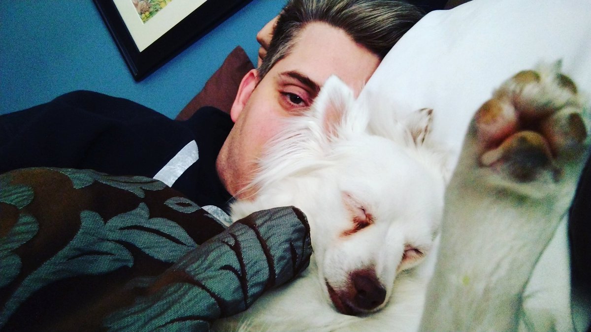 Lazy day with #foxythedog🦊