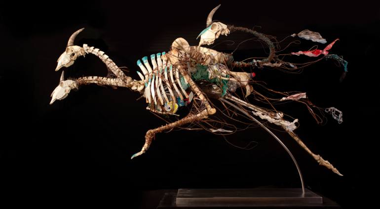 tdsmaker's tweet photo. [Global warming]

"Vida Tóxica" (Toxic Life) is fourteen sculptures created by Catalan artist @solerarpa with animal bones and plastic waste. The sculptures emphasize the human impact of runaway plastic pollution on ecosystems and individual animals. https://t.co/t0n5LStYty