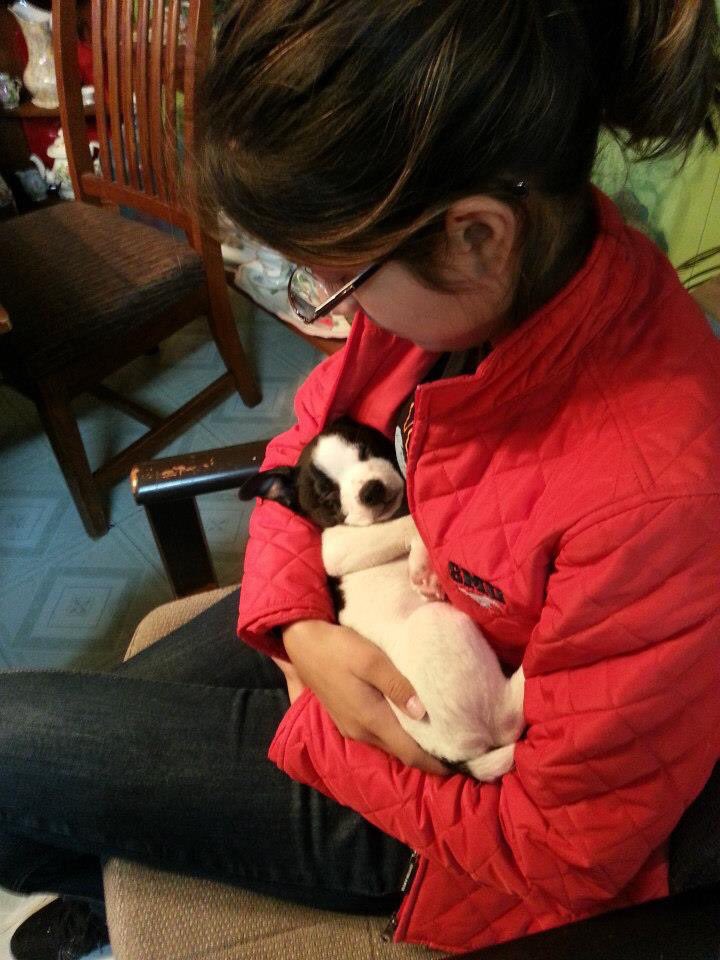 vtapia's tweet photo. Had to say goodbye to my baby boy this week. Its been an amazing journey with you, pup. My heart is heavy with your absence. #RIPTobi https://t.co/9Io3EktPP0