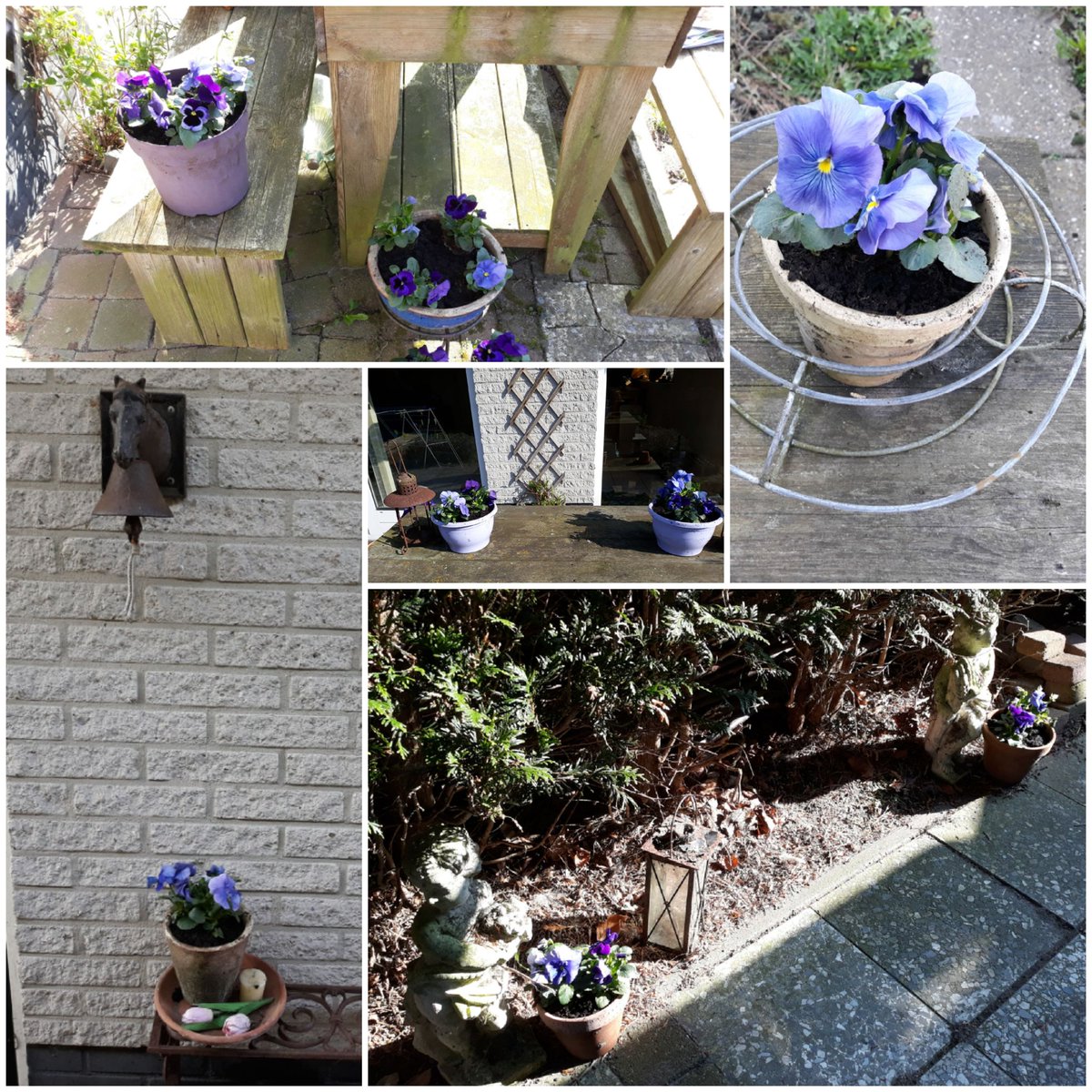 Yo Monteolivo🇪🇺🇮🇹 Umbria Italia. tweet media