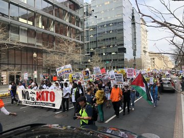 Visualizza l'immagine su Twitter