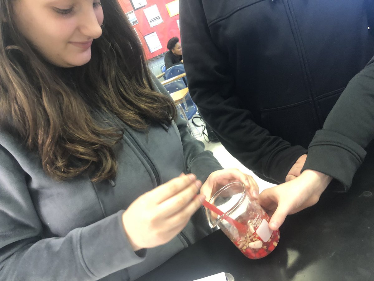 AmyFanning18's tweet photo. Learning about the circulatory system and what our blood consists of...We had fun learning about plasma, white blood cells, red blood cells, and platelets while making “blood.” #raidersonthemove #dcseffects #careertech #healthsciences https://t.co/jiQDFuiXQO