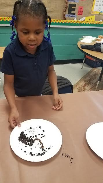 DawnAHancock's tweet photo. Inquiring minds want to know...about REAL living creatures! SCIENCE is AMAZING! #ncssbethebest @FuhreySamantha @MsRBattle @RonEdwardsWorld @mresnewton https://t.co/dzUTL0AS4F