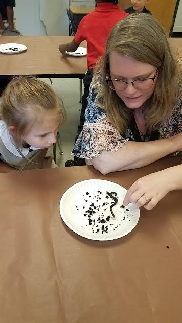 DawnAHancock's tweet photo. Inquiring minds want to know...about REAL living creatures! SCIENCE is AMAZING! #ncssbethebest @FuhreySamantha @MsRBattle @RonEdwardsWorld @mresnewton https://t.co/dzUTL0AS4F