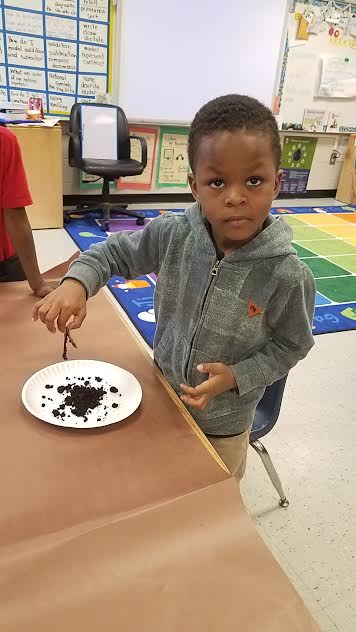 DawnAHancock's tweet photo. Inquiring minds want to know...about REAL living creatures! SCIENCE is AMAZING! #ncssbethebest @FuhreySamantha @MsRBattle @RonEdwardsWorld @mresnewton https://t.co/dzUTL0AS4F