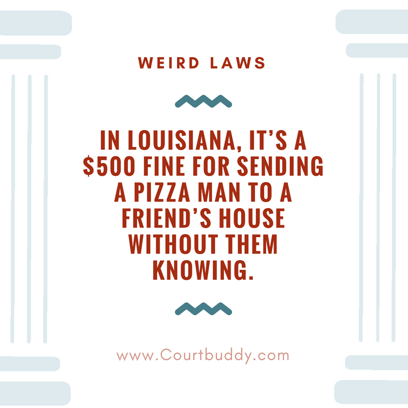 lawchamps's tweet photo. Guess you can't be a good friend in Louisiana.
#weirdlaws #factoftheday #interestingfact #Louisiana #legal #CourtBuddy #legaltech #a2j #legalforeveryone #pizza https://t.co/aDl13eKr5t