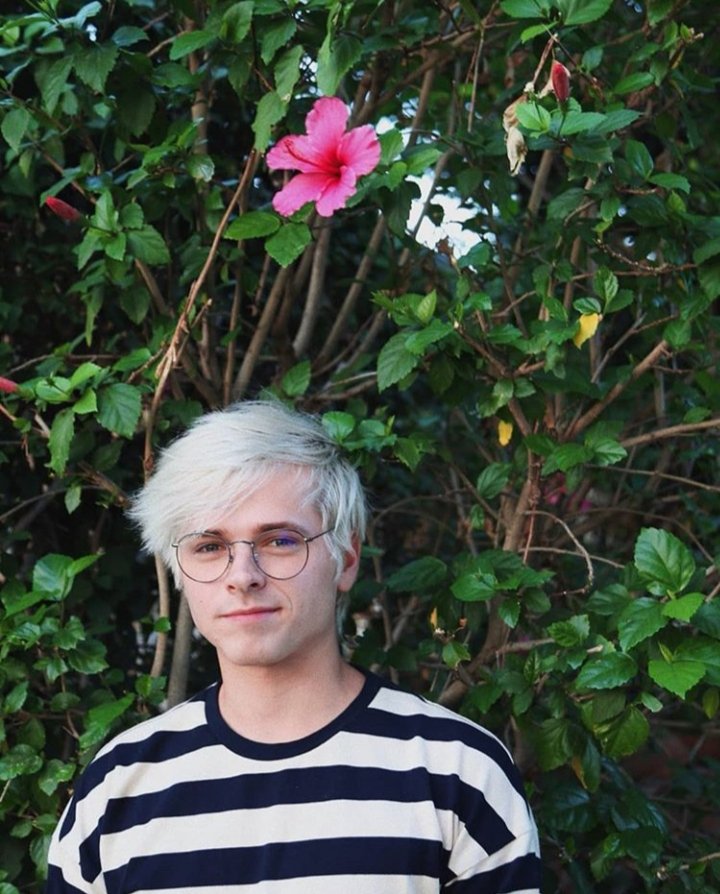 🌺🌺🌺