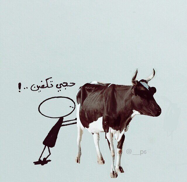 Shefa_3000's tweet photo. طالبك يابقرة هـ العمر تحجين 💔 #متى_تحقق_احلامك https://t.co/KftBrsBJc8