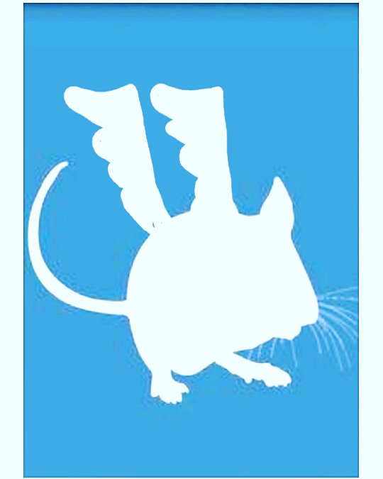 Anonymous (@_annoyingmouse_) on Twitter photo 