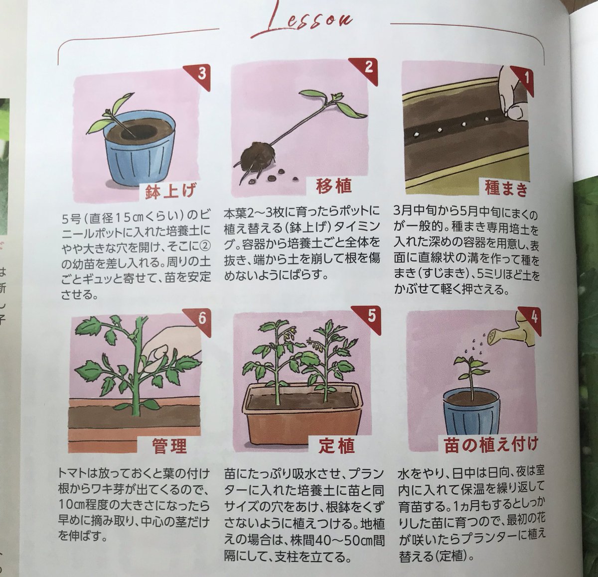 仙台弁こけし作者のジュゴがイラストレーターとすて、活動開始すたっちゃ〜。雑誌「りらく」のイラストも描いてるのっしゃ。仙台弁こけしはもづろん、その他のイラストのお仕事も承るっちゃ〜!まんずよろすぐね〜♪【お問い合わせ先 】info@kokesu.com