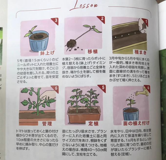 仙台弁こけし作者のジュゴがイラストレーターとすて、活動開始すたっちゃ〜。雑誌「りらく」のイラストも描いてるのっしゃ。仙台弁こけしはもづろん、その他のイラストのお仕事も承るっちゃ〜!まんずよろすぐね〜♪【お問い合わせ先 】info@kokesu.com 