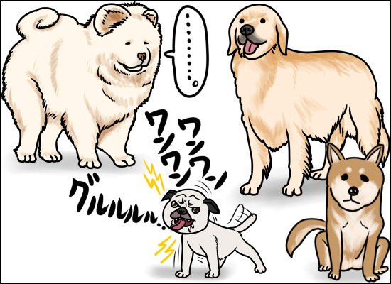 弱い犬ほどよく吠える