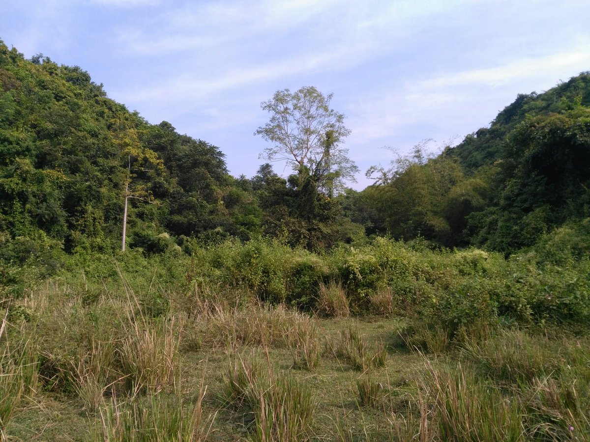 In Thayat Pyin village,There is no clash here. Only the Burma troops shoot guns. Some women were taken by Burma military from their village.