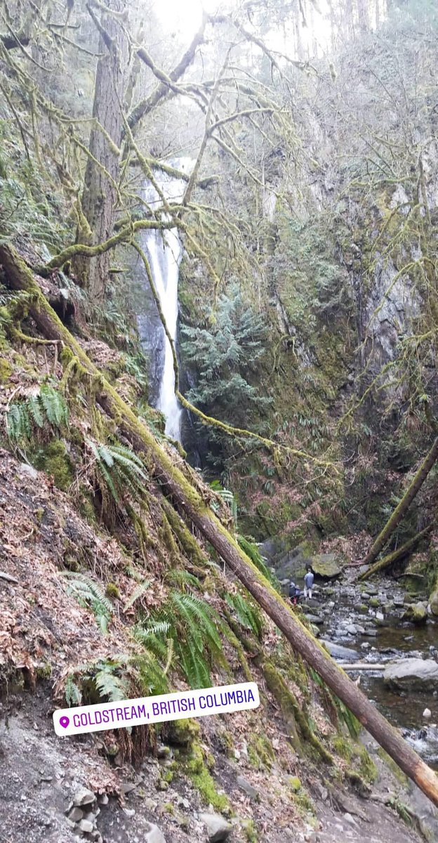 I'm a local now. #yyj #goldstream #provincialpark #dontgochasingwaterfalls! 🏞