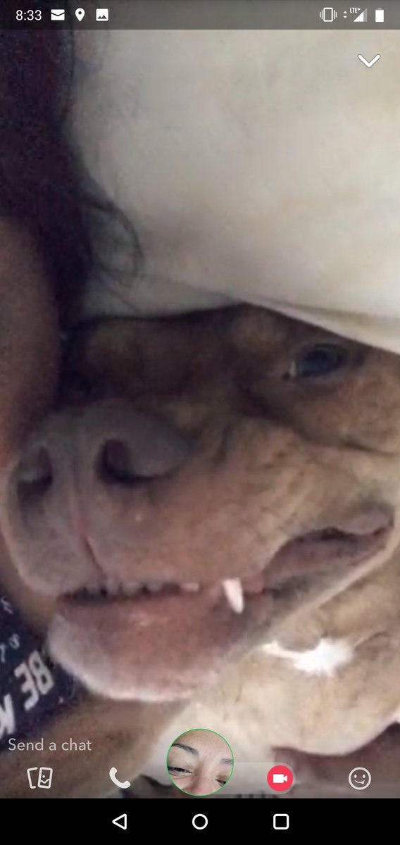 MissMonikah's tweet photo. Thank u #indiana #goshen #mrrf2019 #mrrf19 for an amazing weekend but tomorrow back home to my babies π #Loki #Hunni β€οΈ#blackLab #pitbull https://t.co/nsawf25Ogq
