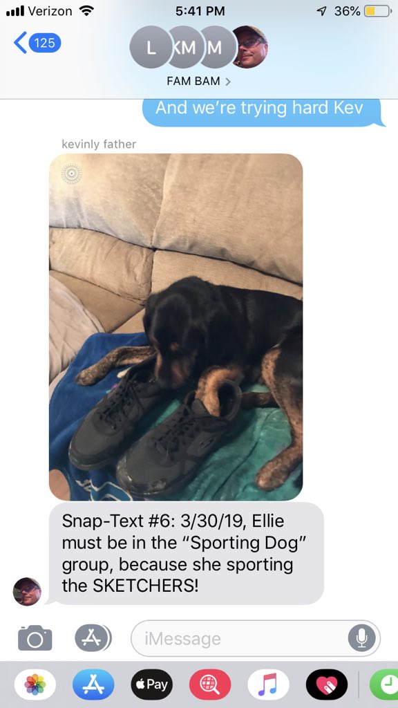 pibispibb's tweet photo. Our dog is involved now #thekevinlyfatherisfamous https://t.co/HJotvmzoCA