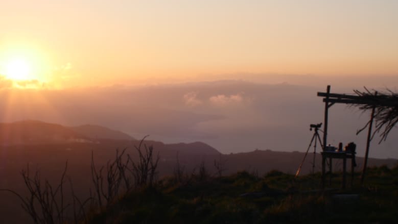 Today at the Strait of Messina one beautiful Imperial Eagle passed over our watchpoint!! #ornithology #birds #Raptors #birdmigration #birdsofprey raptormigration.org