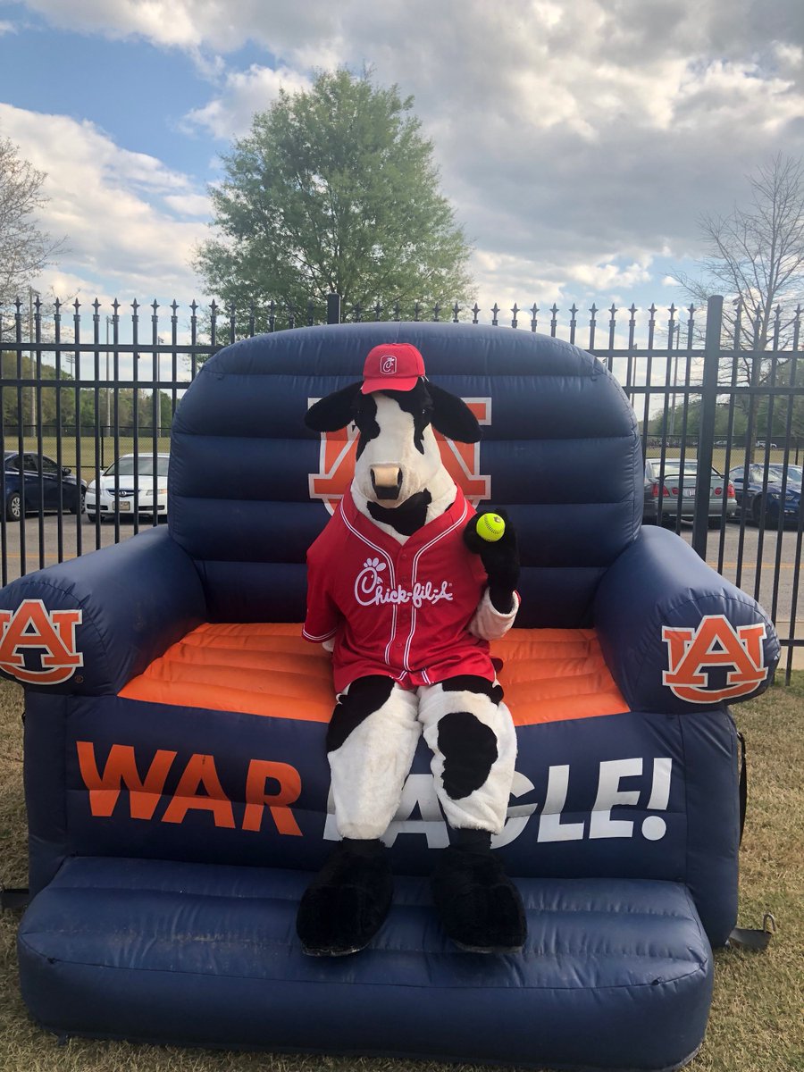 The cow is throwing the first pitch today at Jane B. Moore field for Auburn Softball! #wareagle #AUSoftball