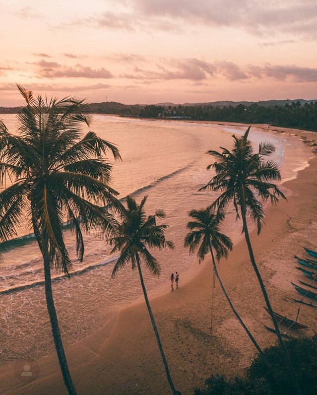 Visit Sri Lanka with Tuba-travels. 
For more info about bookings email us to tubatravels11@gmail.com 
Or you can Contact trough Call or Whatsapp +94 777299850 #srilanka #visitsrilanka #Traveller #travelsrilanka #beautifulbeaches #honeymoondestination #Tubatravels #Surfer #Beach