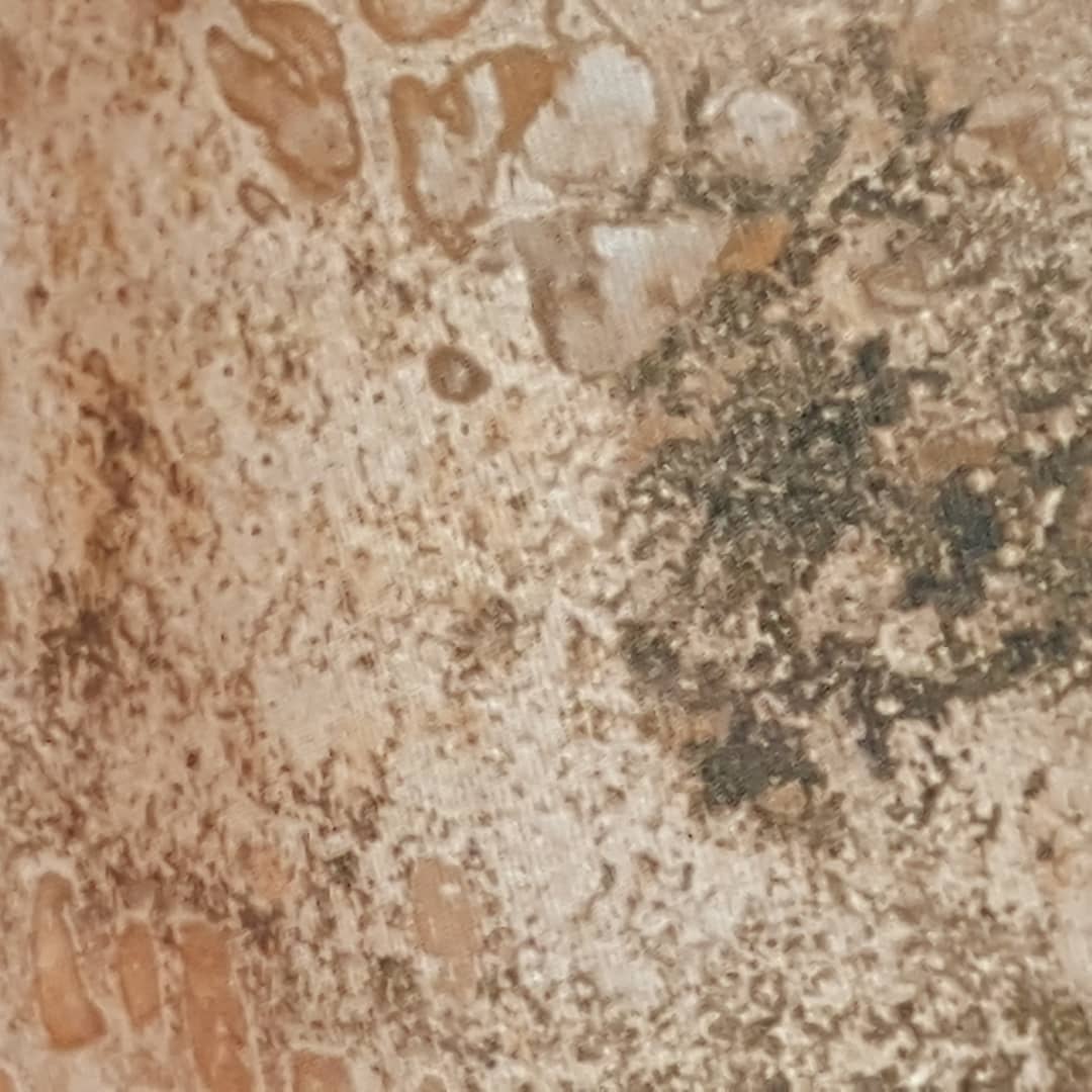 OTWCoverings's tweet photo. Just finished producing our new fabric design Stucco Earthtones for next weeks @VMDisplayShow see us at booth E9.
#vmanddisplayshow #displayfabrics #visualmerchandising #innovasion #Inspiration #collaboration https://t.co/0WFPxyUVka
