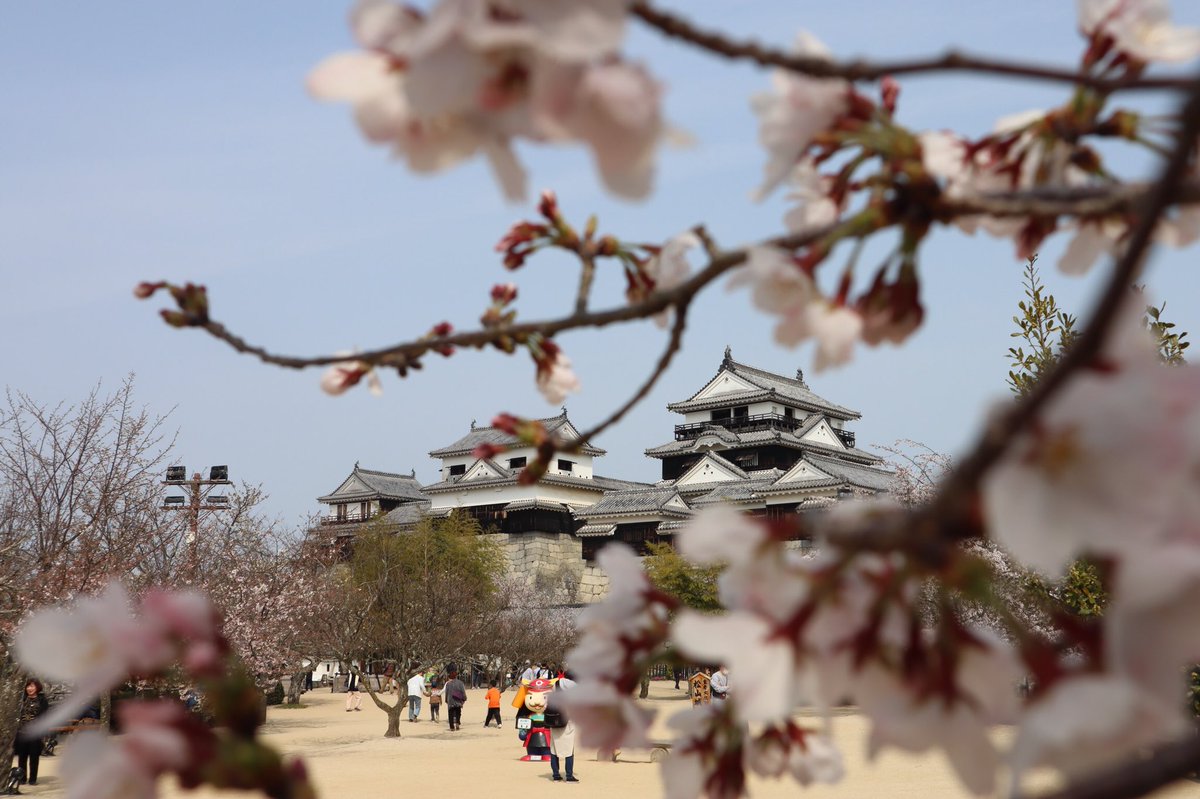 かんた tweet media