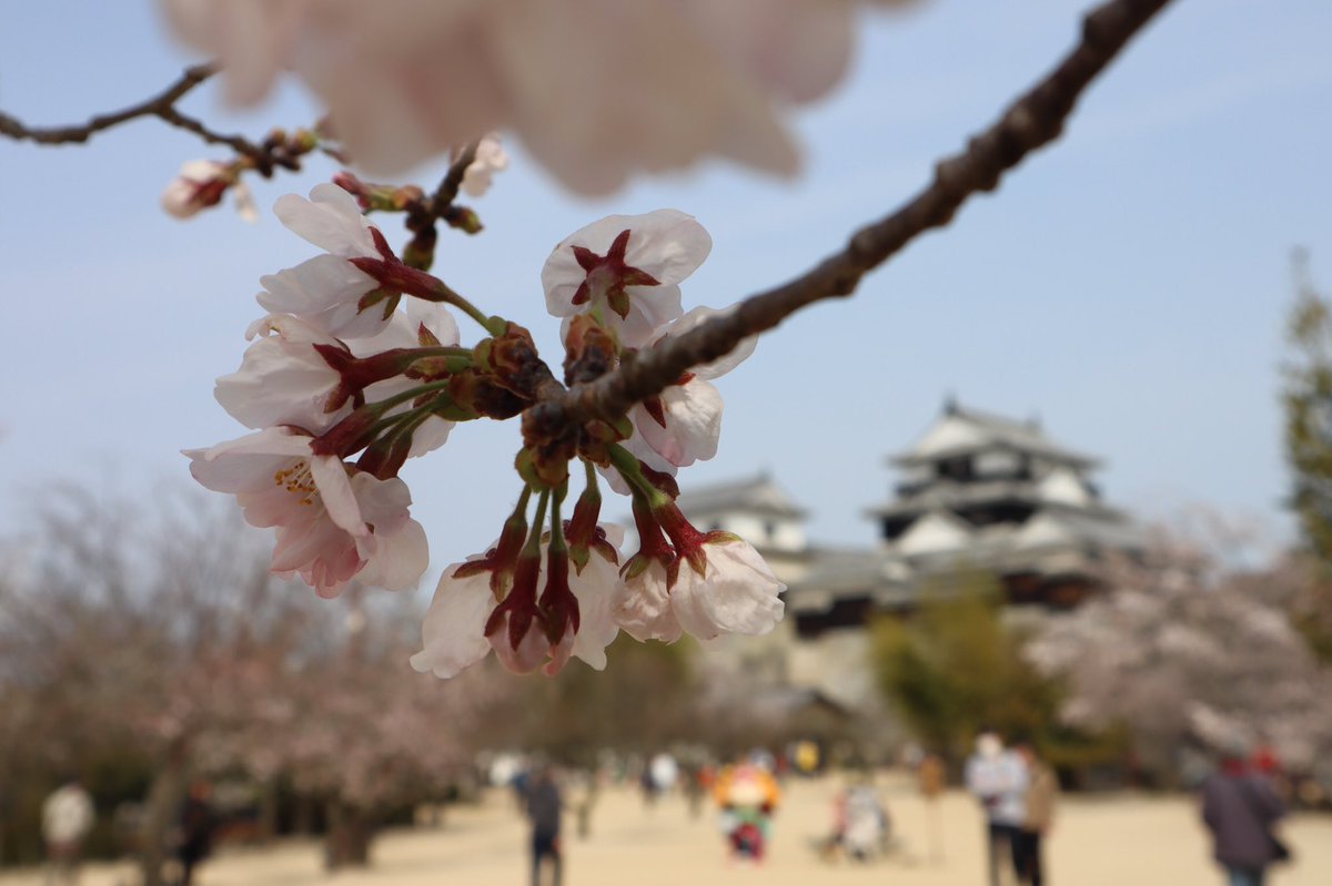 かんた tweet media