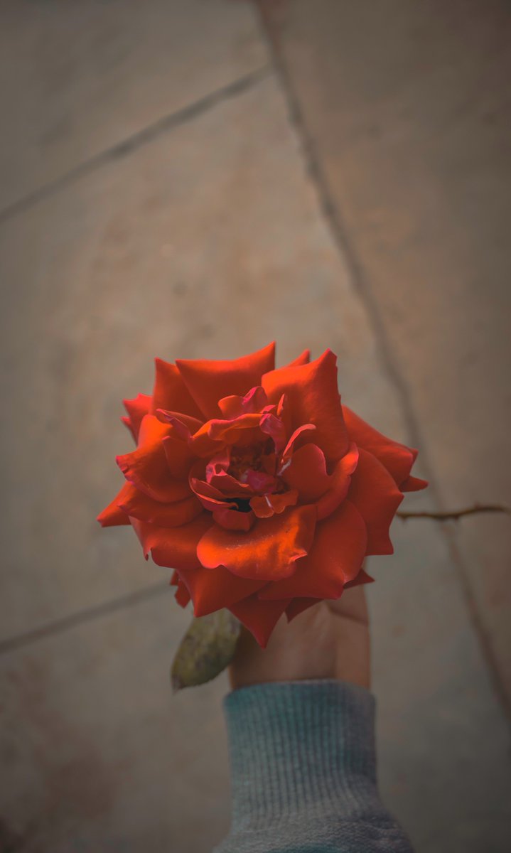 Brayan Garcia (@brayangarcial12) on Twitter photo 