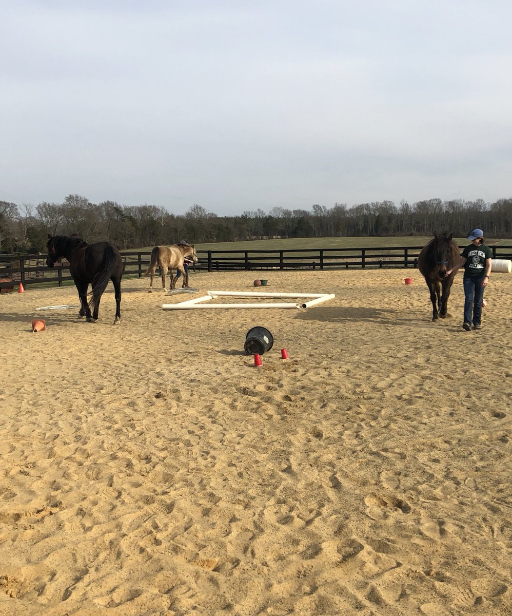 hemclean626's tweet photo. Professional Development involving equine therapy? More please! Thanks so much to people who made this happen! #FCPS https://t.co/mAJjHvHtSg