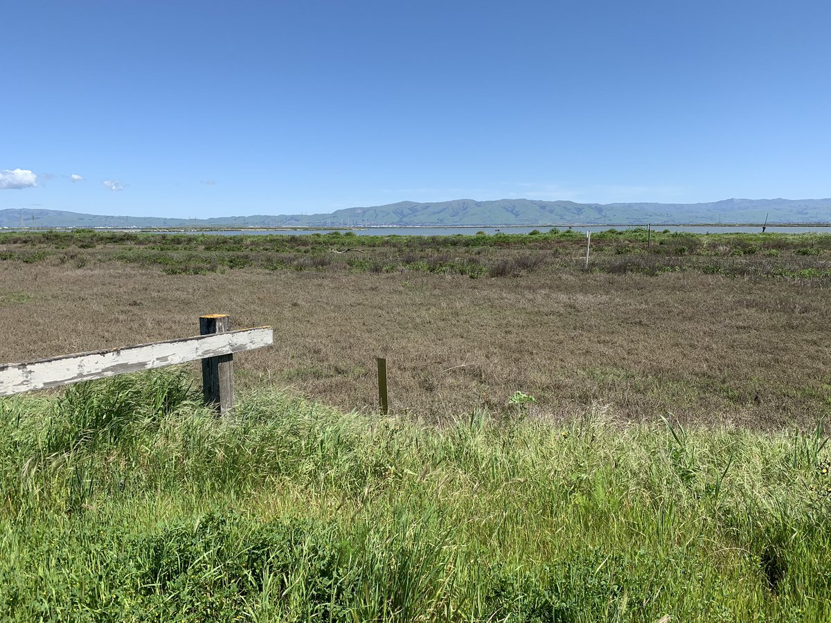 sykben's tweet photo. Nice day for a training ride.
#AIDSLifecycle
Please consider a donation, whatever you can afford. I'll TRIPLE the dollar value by donating myself and requesting an employer match.
https://t.co/XsoP8eqHt0 https://t.co/U6GOfpHIkS