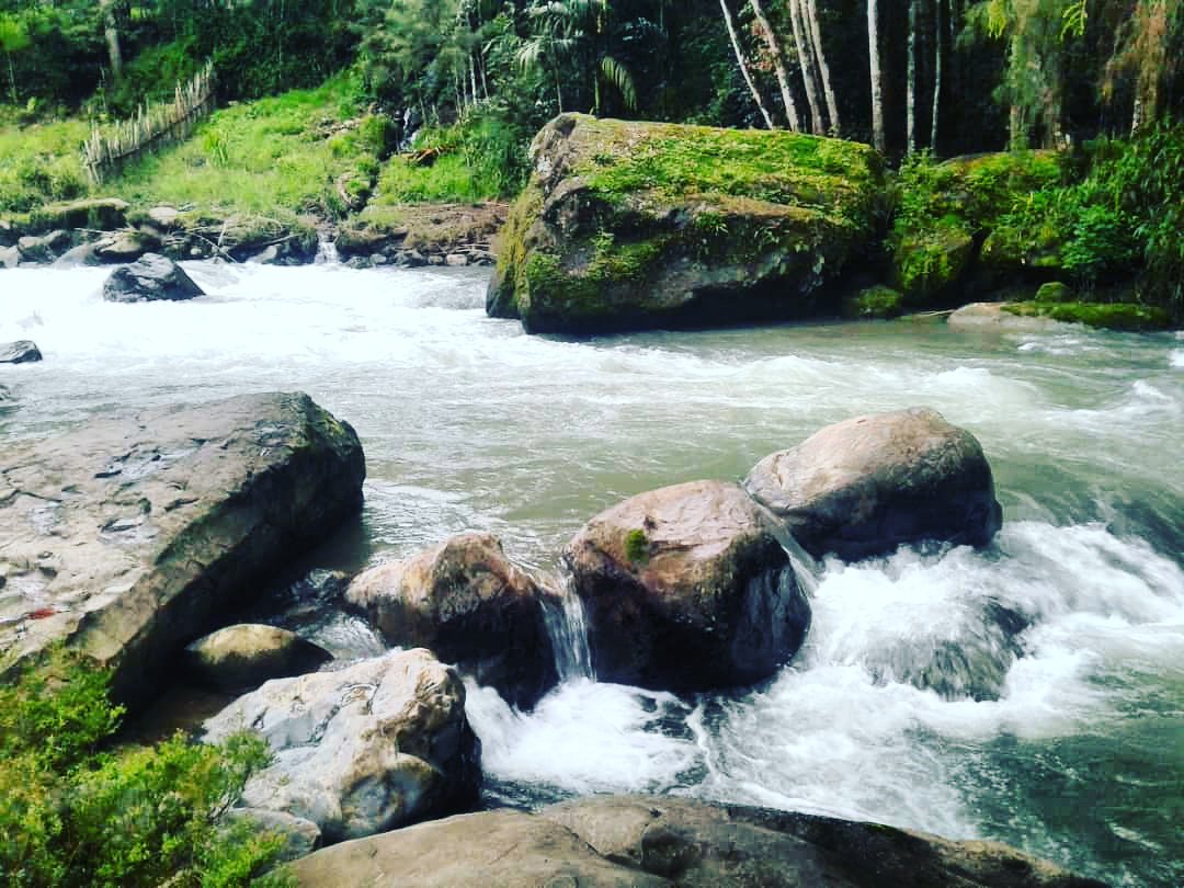 prisillamanove's tweet photo. Pristine river in Marawaka,EHP: rural Papua New Guinea. #png #Papuanewguinea #placestovisit #visitpng #amazingpng
.
.
@pngjourneys @visitPNG https://t.co/7500X07G8B
