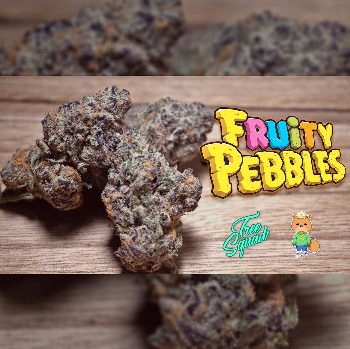 TheTreeHouse210's tweet photo. The Oh So Delicious Fruity Pebbles!! ππSmoke Flavors!ππ#treesquad #topshelf
...
..
#treesquad #dufflesquad #420life #cookiesorbetter #weedfeed #weedculture #nugshot #trees #calitrees #hightimes #highlife #kush #firebud #purp #mkexplore https://t.co/Iq1T6OeVUA