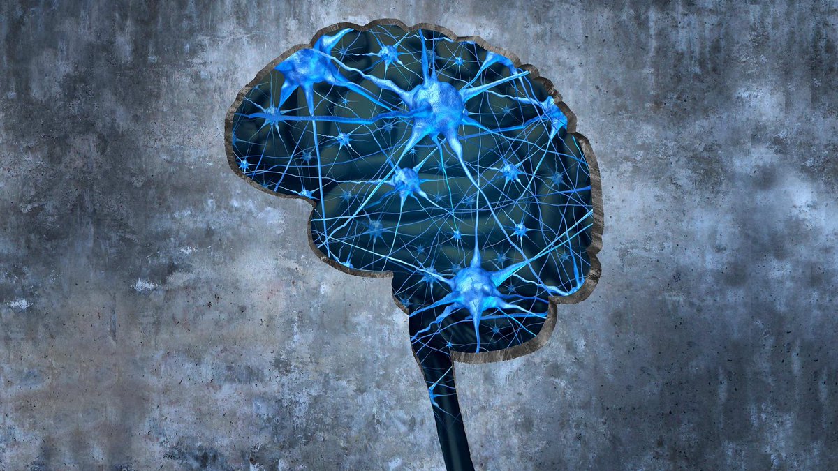 edutopia's tweet photo. Memories are less like books in a library, and more like spiderwebs—strands of recollection distributed across millions of connected neurons. Here’s what that means for making your teaching stick. https://t.co/jBjxYR1vyh https://t.co/OxC6lO4Tur