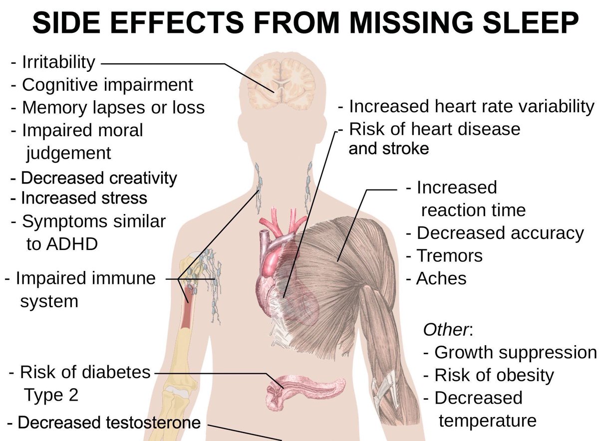 sereneKoncept's tweet image. Crucial #infograph of importance of #sleepHealth, confirming how the lack of,  affects the entire #bodyFunction.