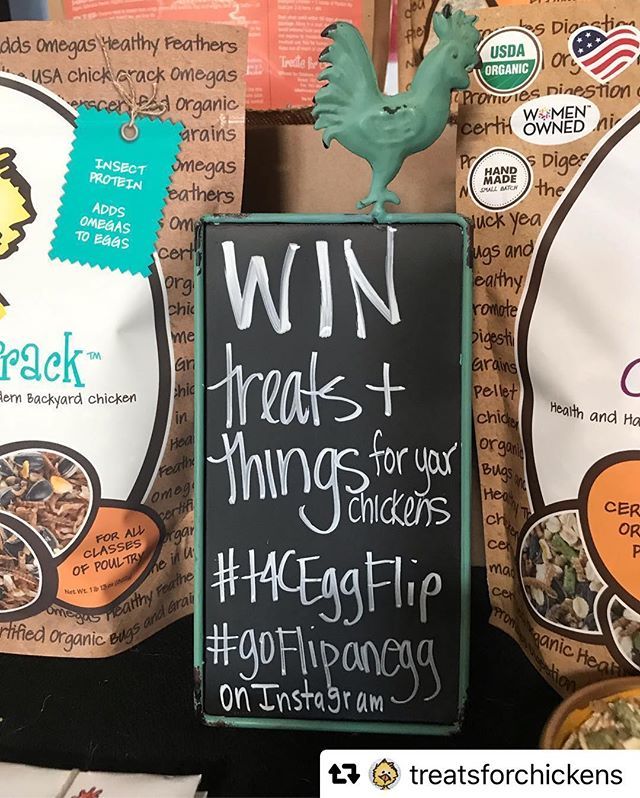 CoopCrate's tweet photo. #Repost @treatsforchickens with @repostsaveapp · · ·  Get your griddle greased and get to flipping 🍳. #t4ceggflip #goflipanegg #4h🍀 #fresheggs #fryoneup #eggflipfail #eggs🍳 #contestalert #treatsforchickens #chickenmom #egglover #backyardchickens #egg… https://t.co/OhlIgPaAVv https://t.co/bg3LuT0VAa