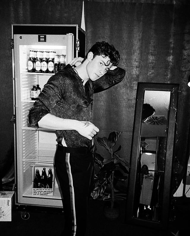SMendesQandA's tweet photo. 📸 by @JosiahVanDien https://t.co/0PBbt6FMAP