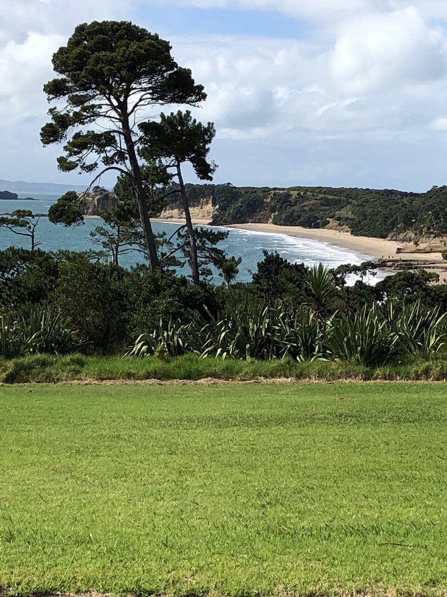 Motutapu tweet media