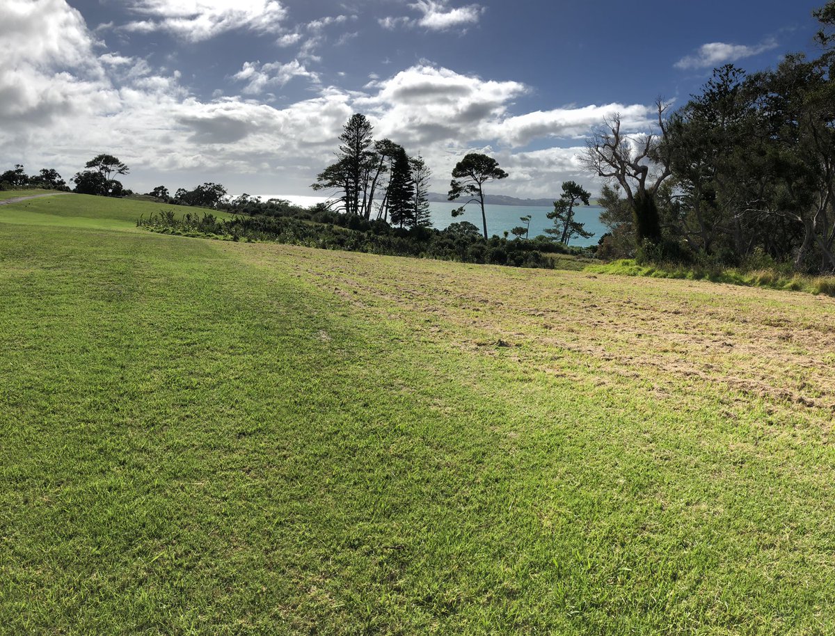Motutapu tweet media