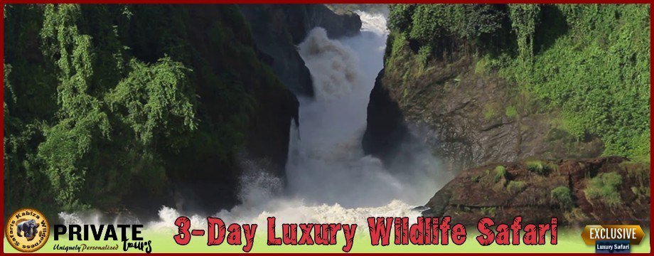 Murchison Falls Park Private 3-Day Luxury Wildlife Safari – Paraa Lodge kabiza.com/kabiza-wildern…