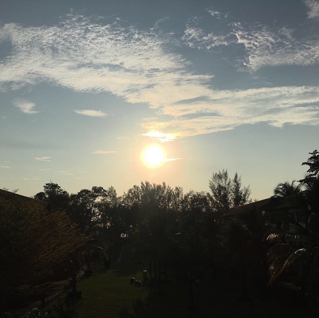 usterry1's tweet photo. #thailand you are amazing 😍 https://t.co/OlVfzc6dXd